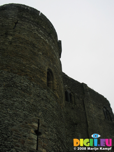 24219 Fern Castle